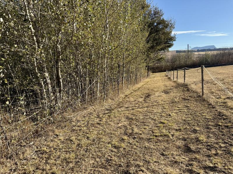 0 Bedroom Property for Sale in Harrismith Free State